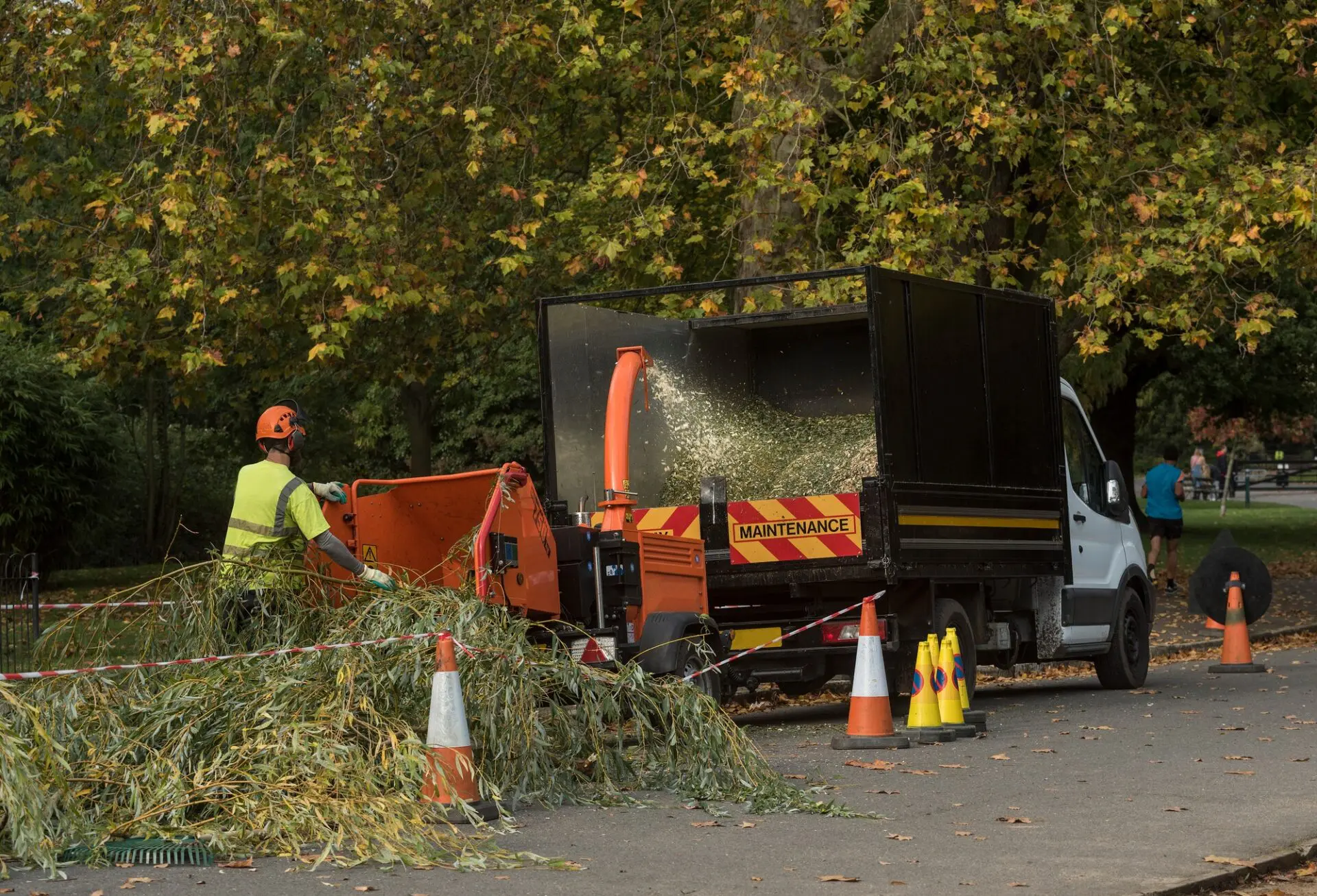 Tree Care Specialists